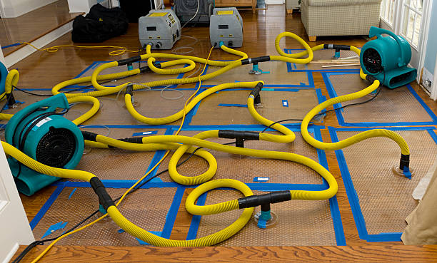 Professional Flood Damage Restoration technician working in Minerva, OH